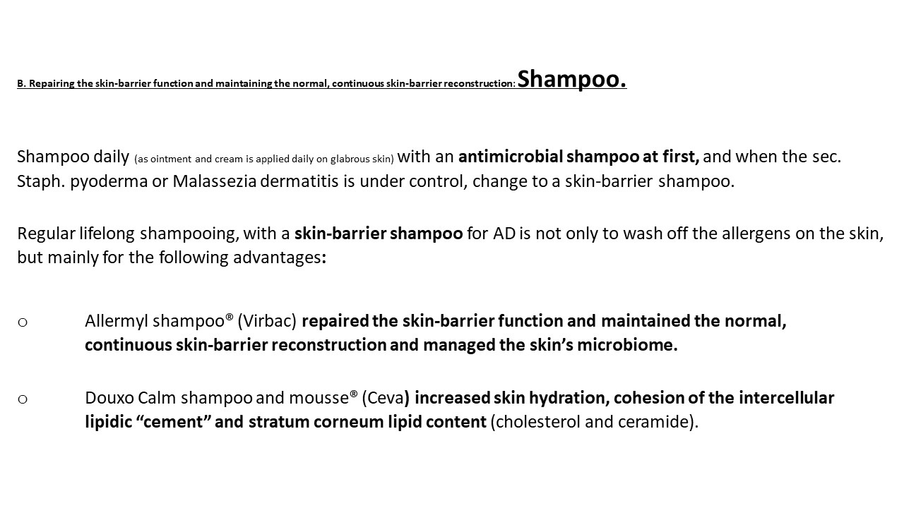 Pruritic_Dog_Webinar_Slide_52.jpg